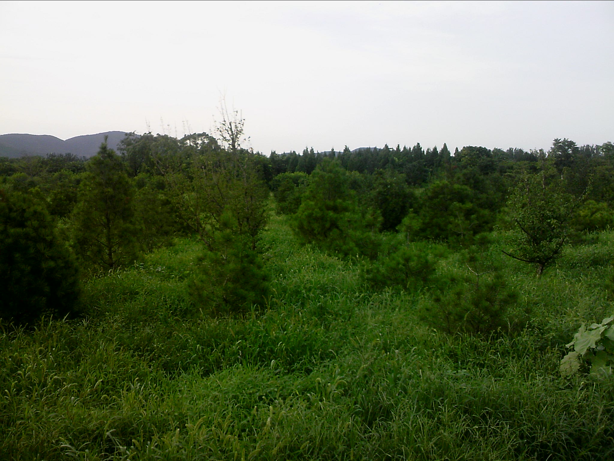 110802A041.jpg