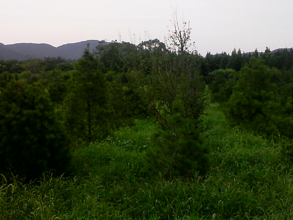 110802A040.jpg