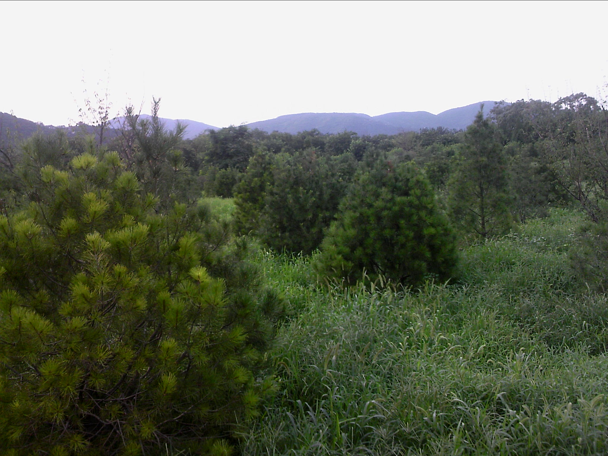 110802A042.jpg