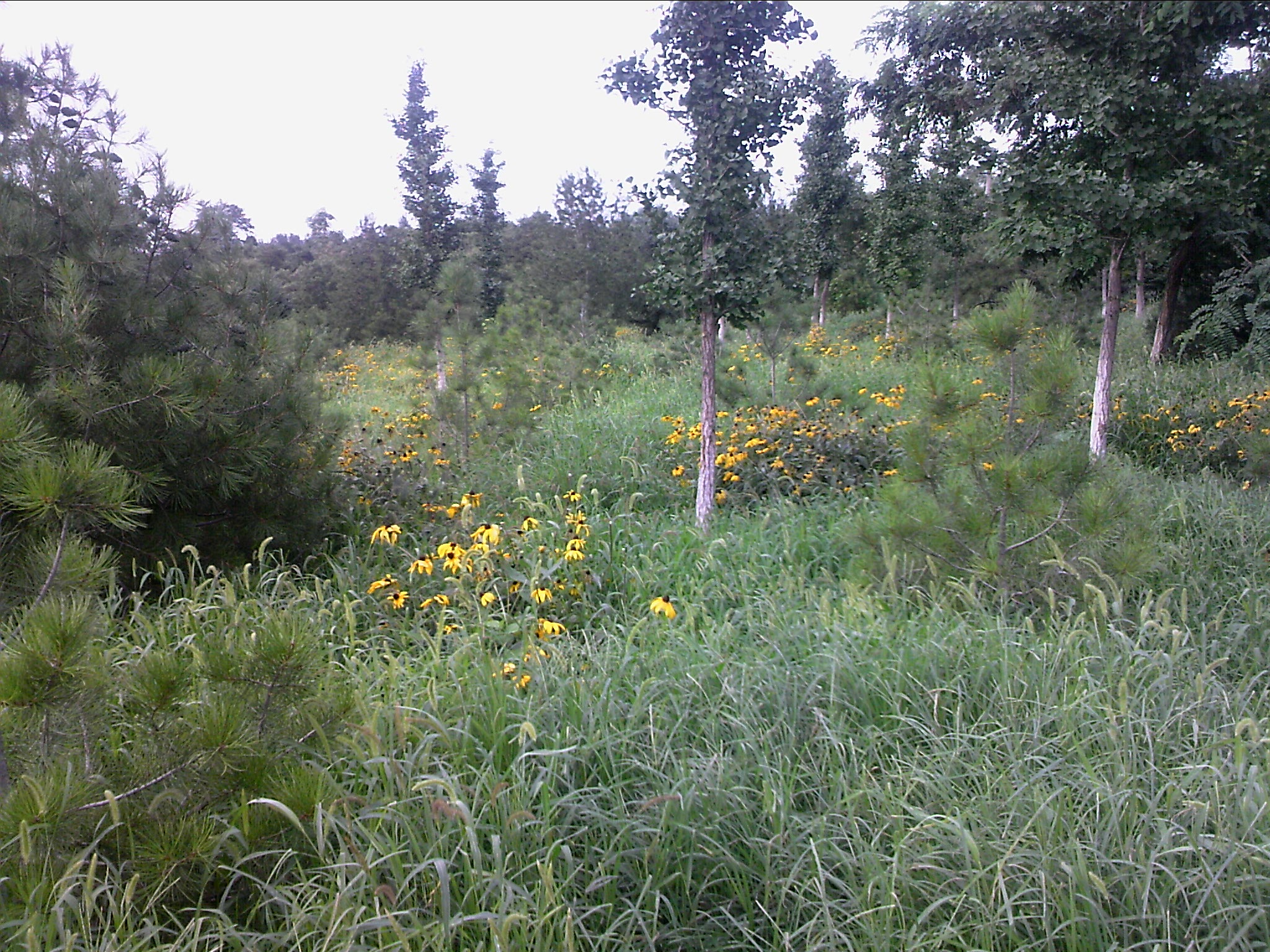 110802A043.jpg