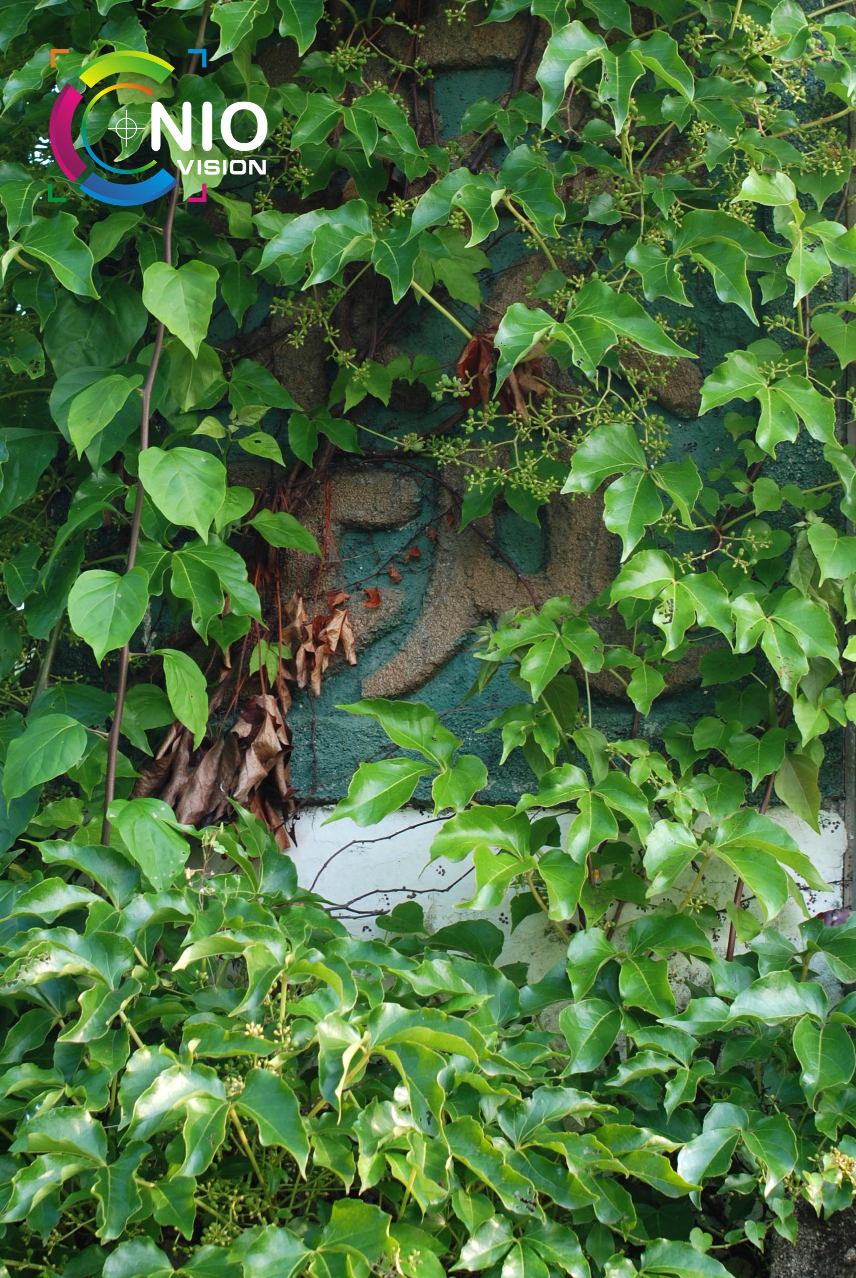 DSC_3431.jpg