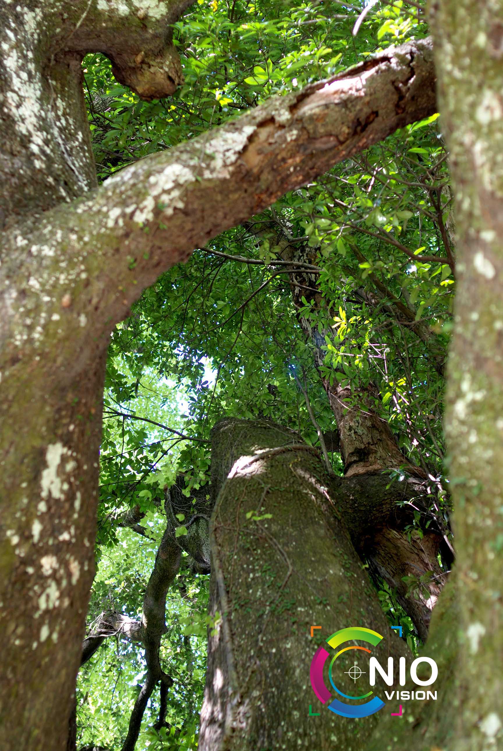 DSC_3566.JPG