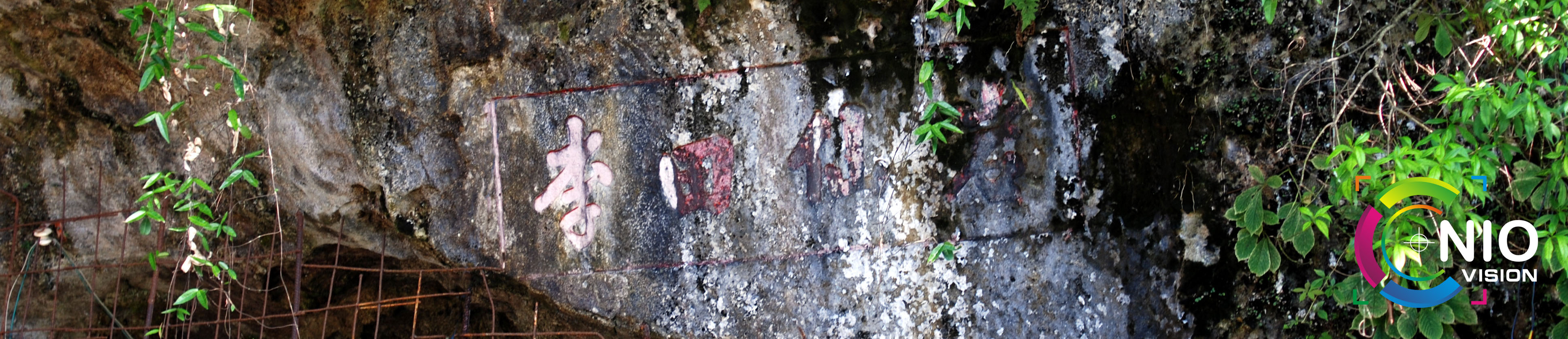 DSC_3602.JPG
