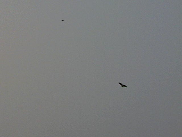 110804A003.jpg