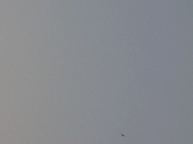110804A005.jpg