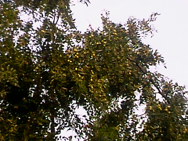 110810A006.jpg