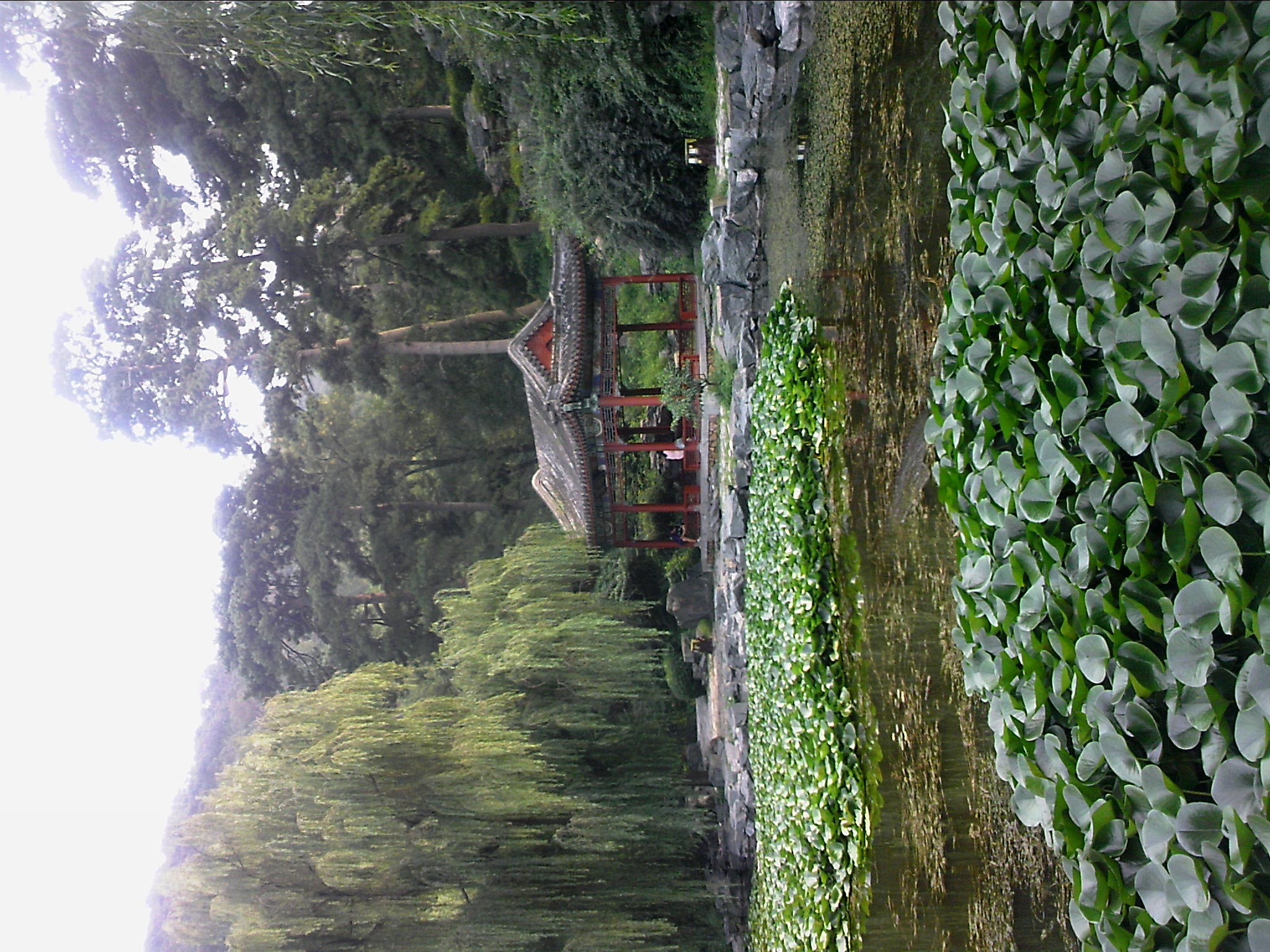 110811A015.jpg