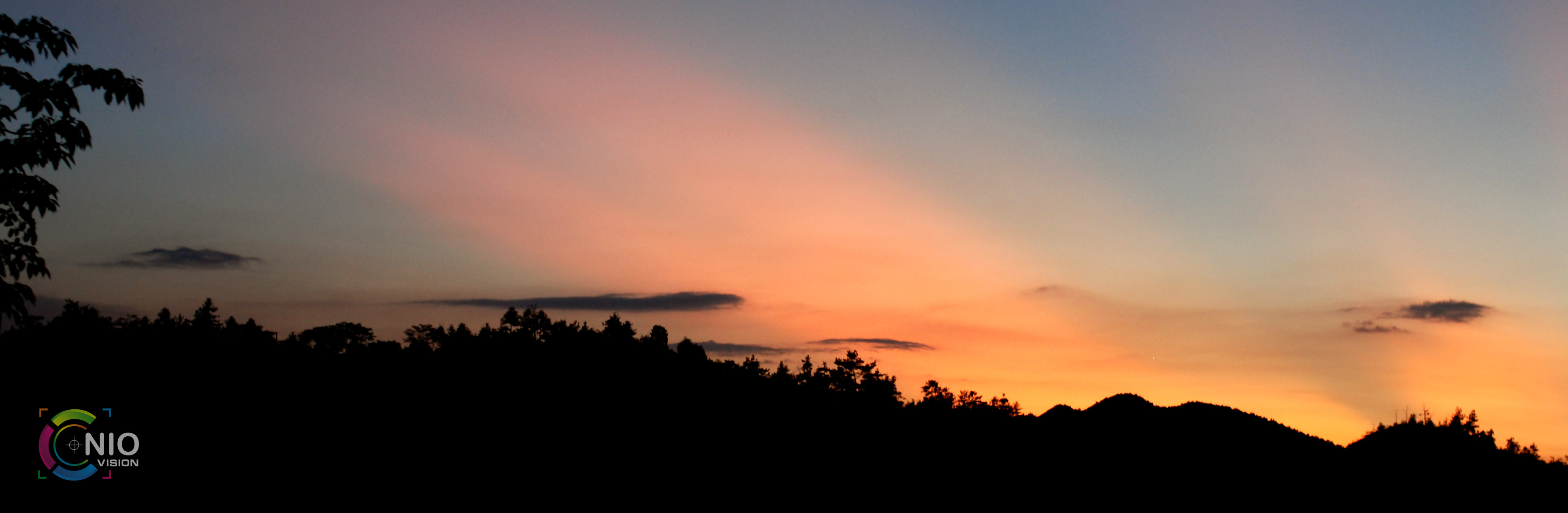 DSC_3768.jpg