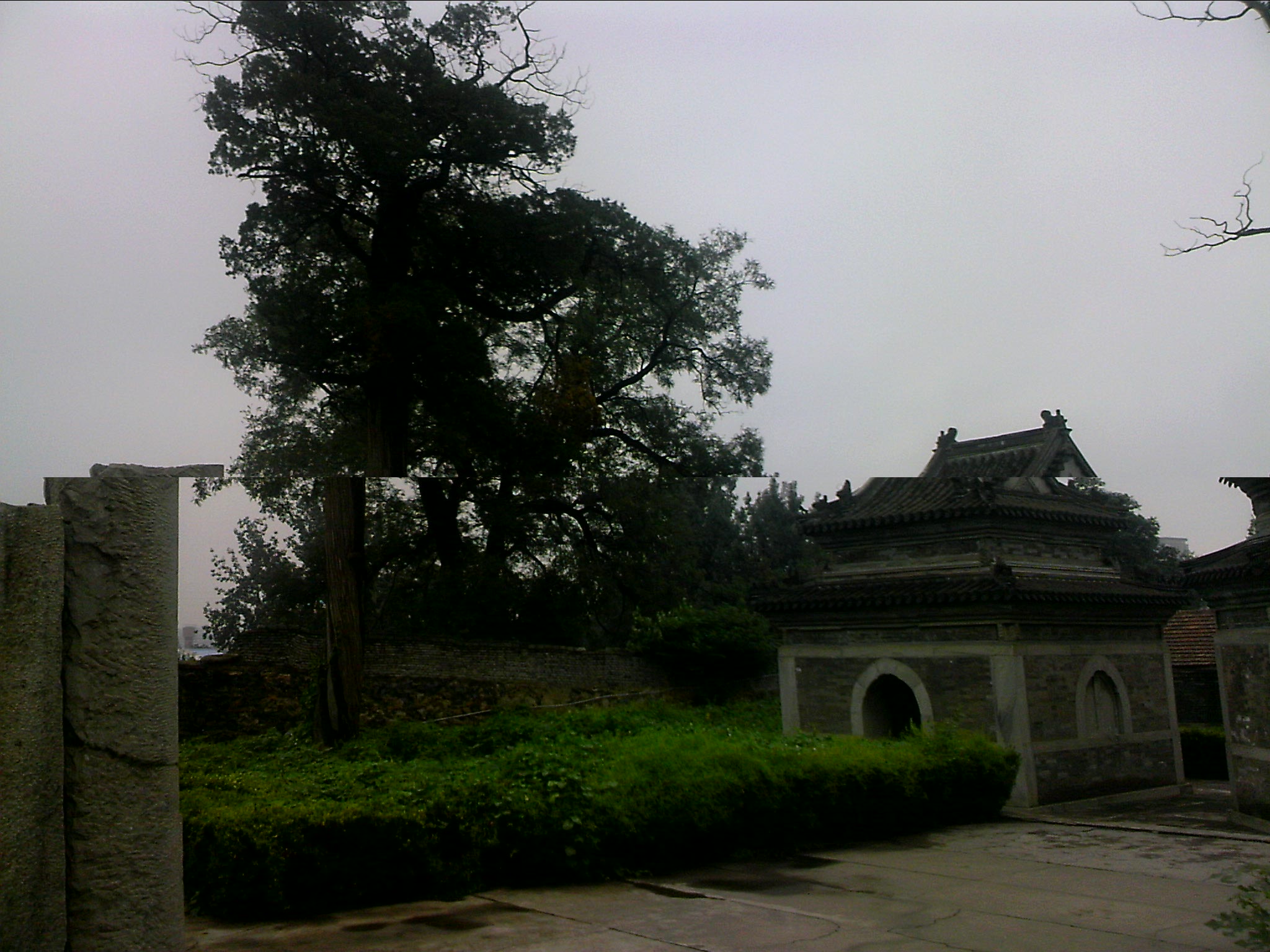 110815A035.jpg