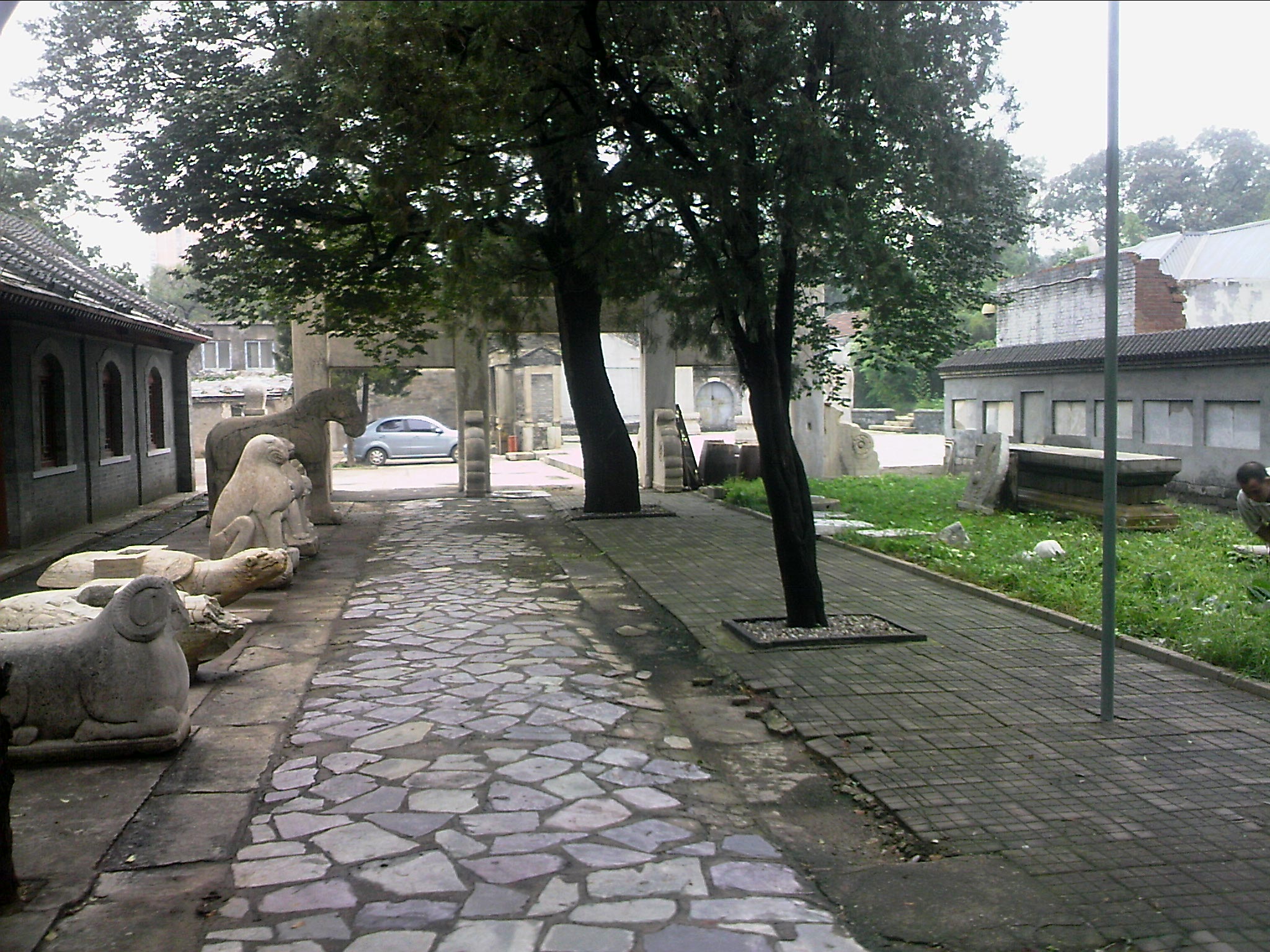 110815A083.jpg