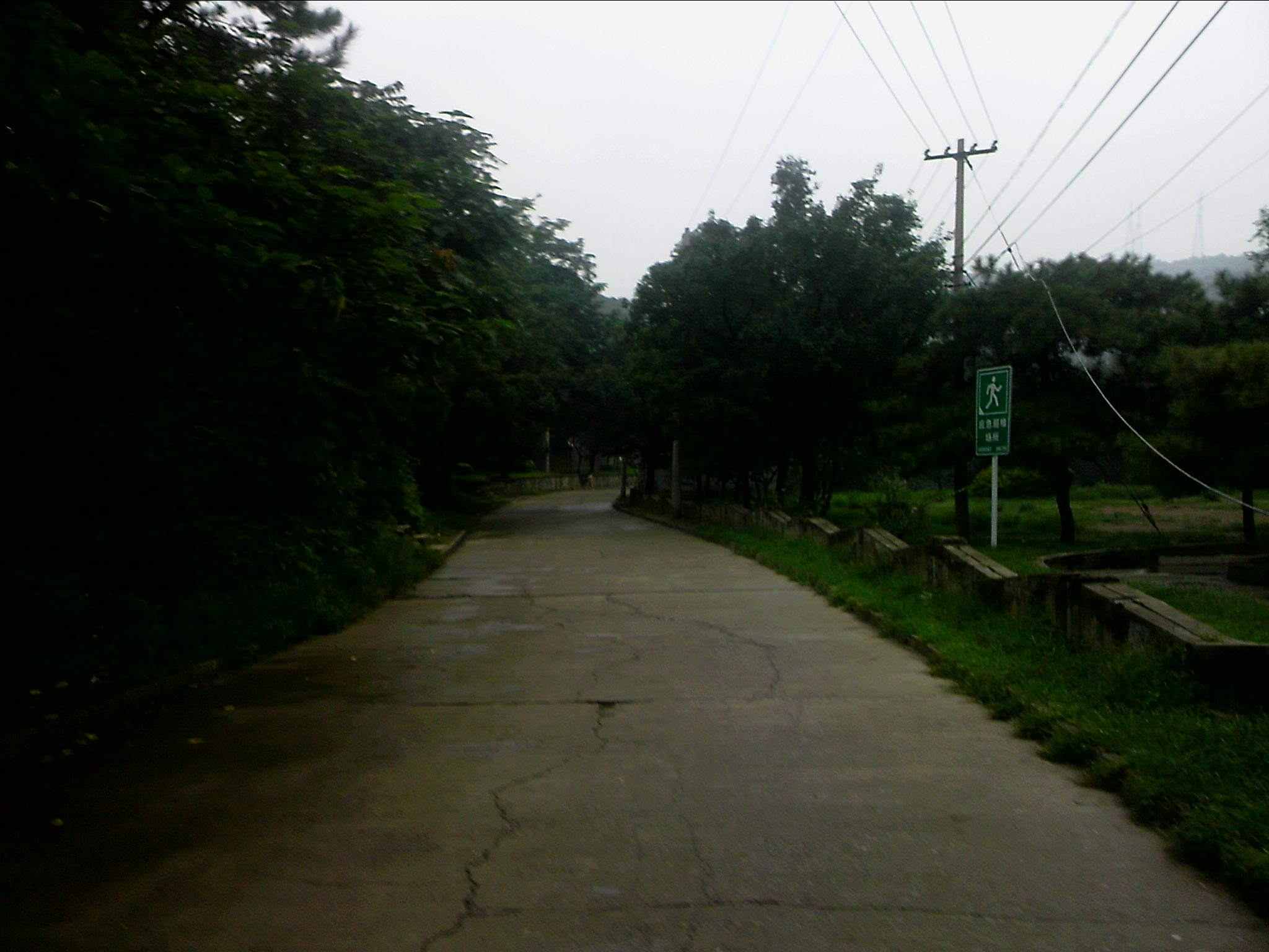 110815A097.jpg
