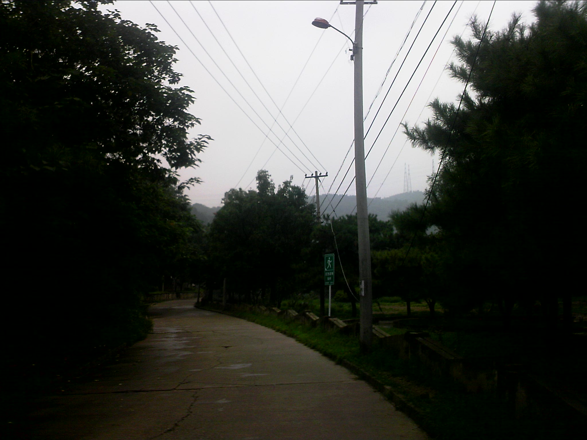 110815A096.jpg