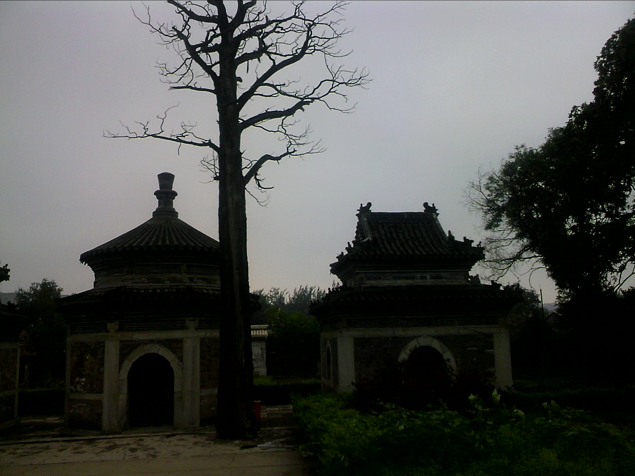 110815A034.jpg