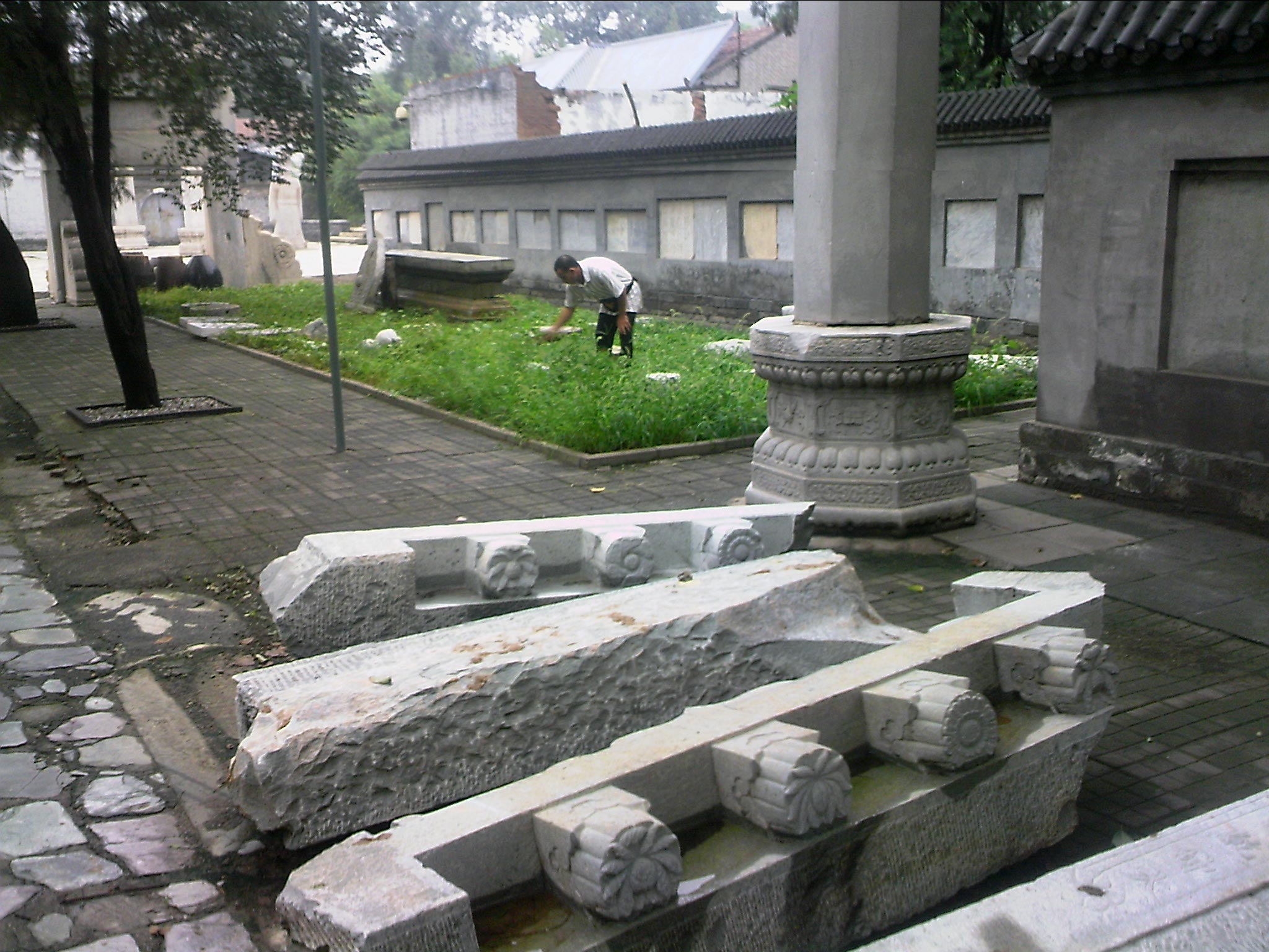 110815A082.jpg