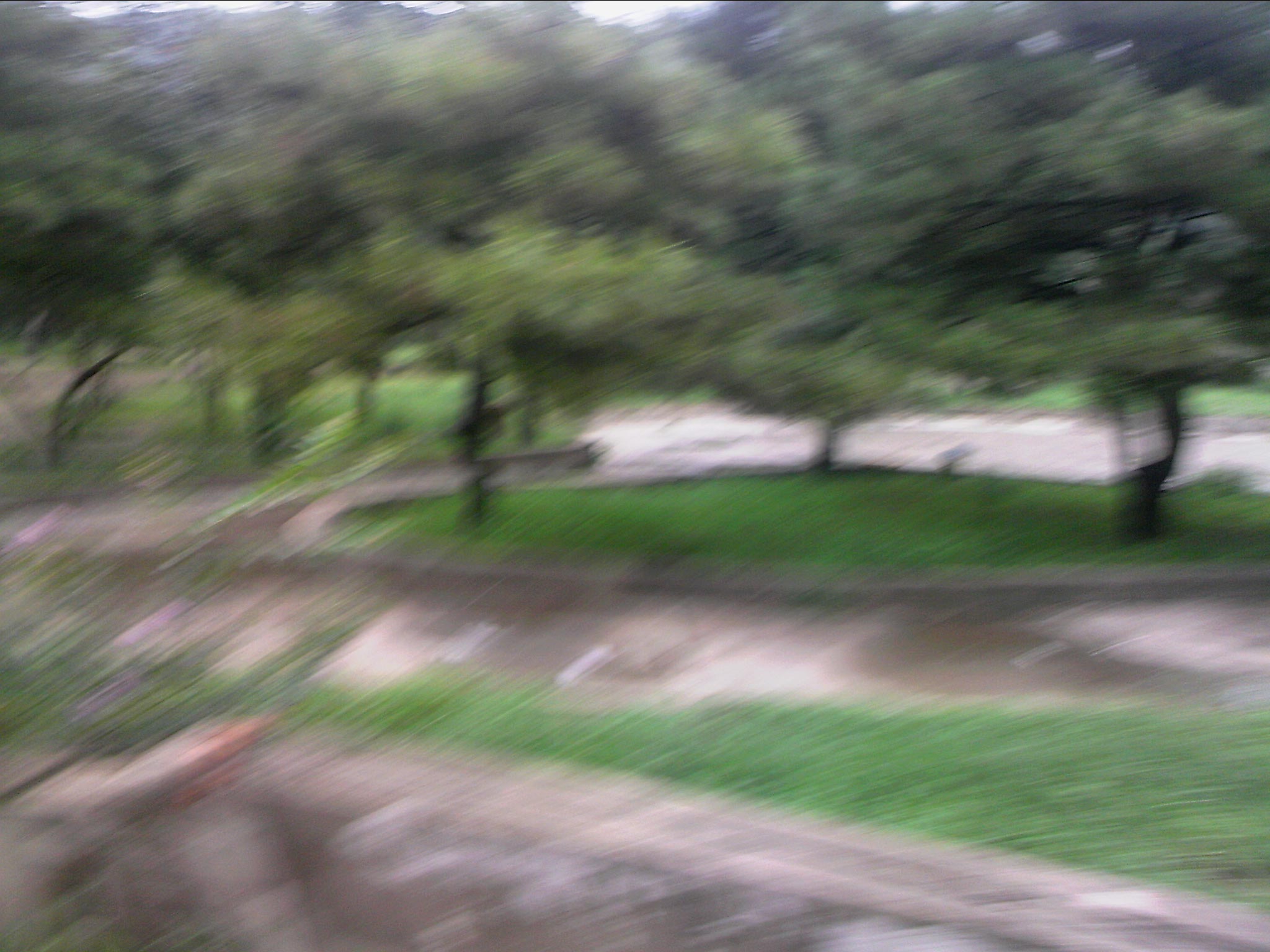 110815A099.jpg