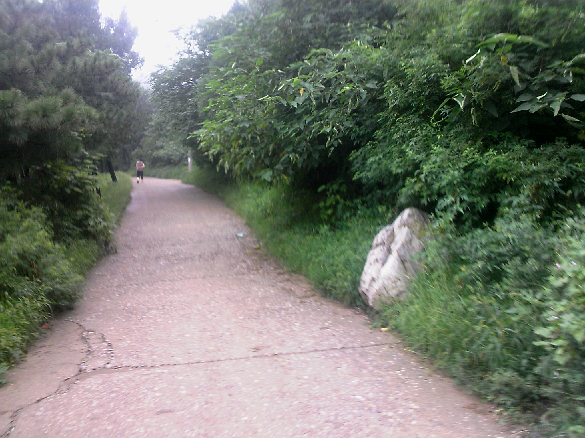 110815A100.jpg
