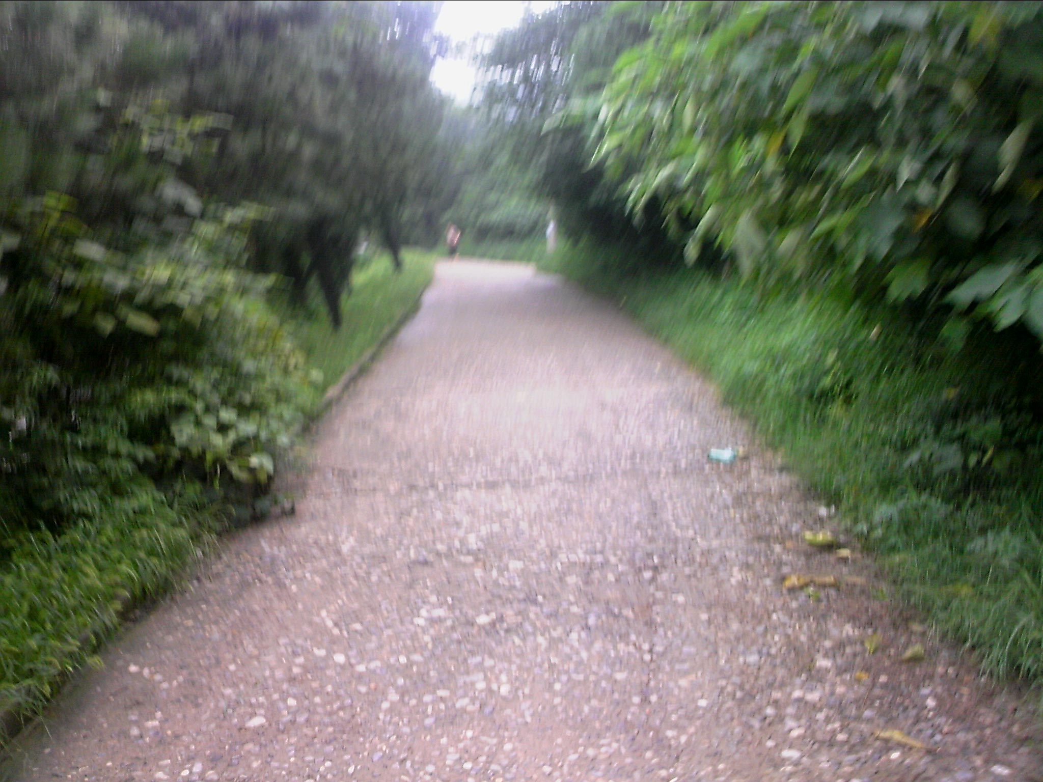 110815A101.jpg