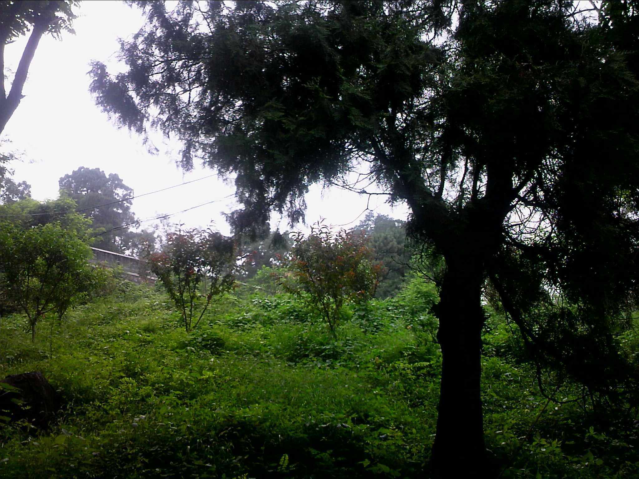 110815A103.jpg