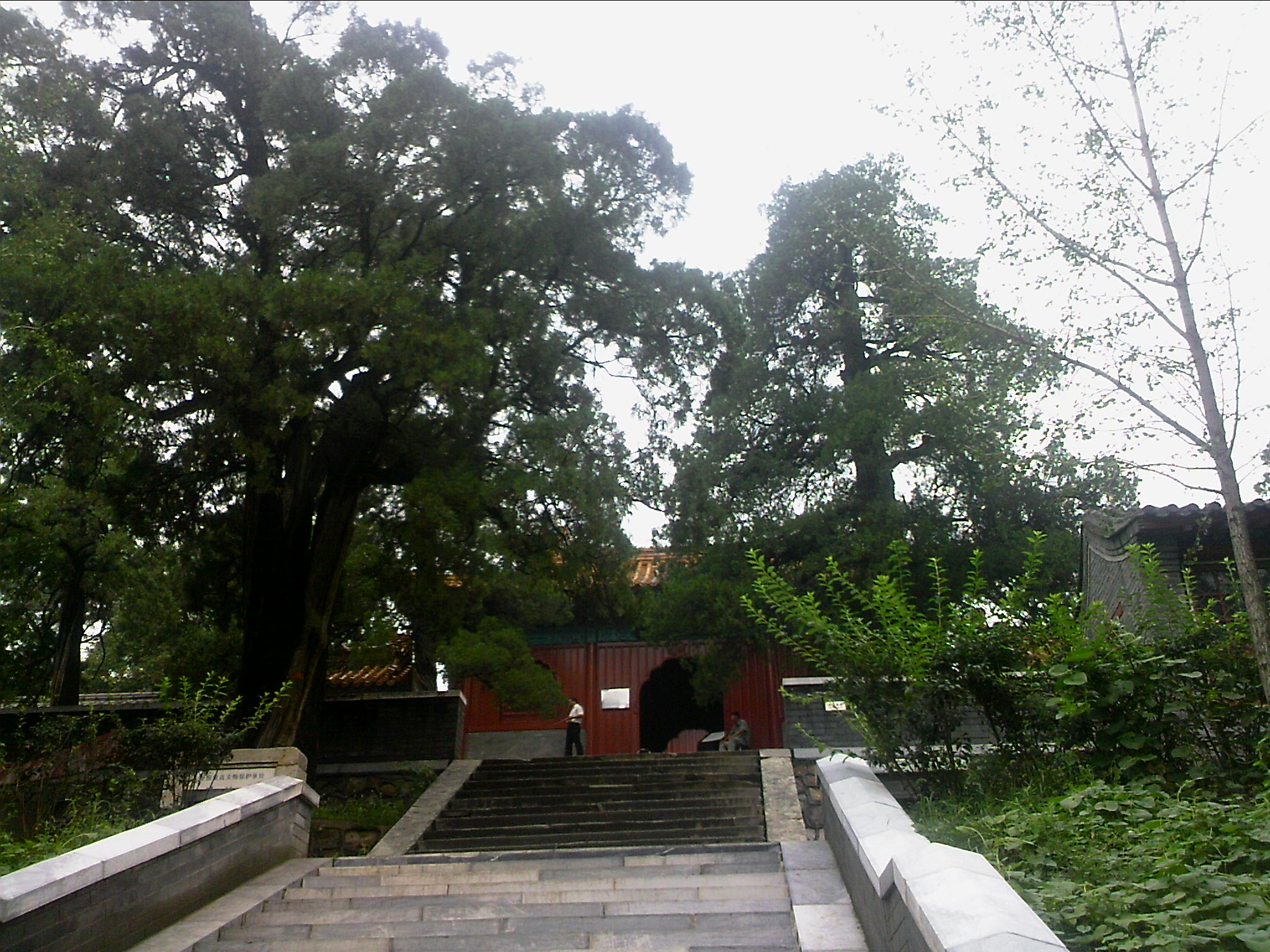 110815A105.jpg