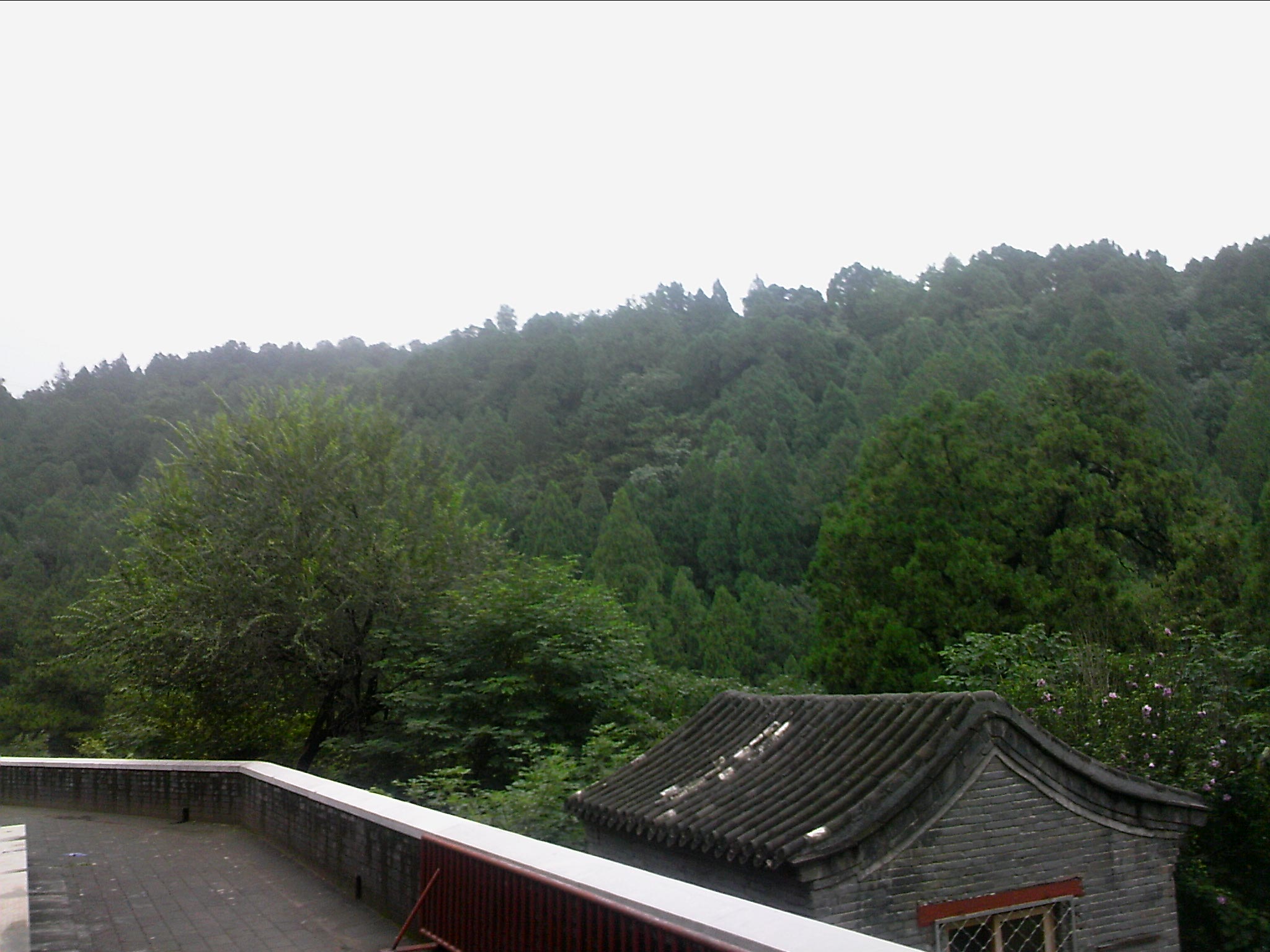 110815A109.jpg
