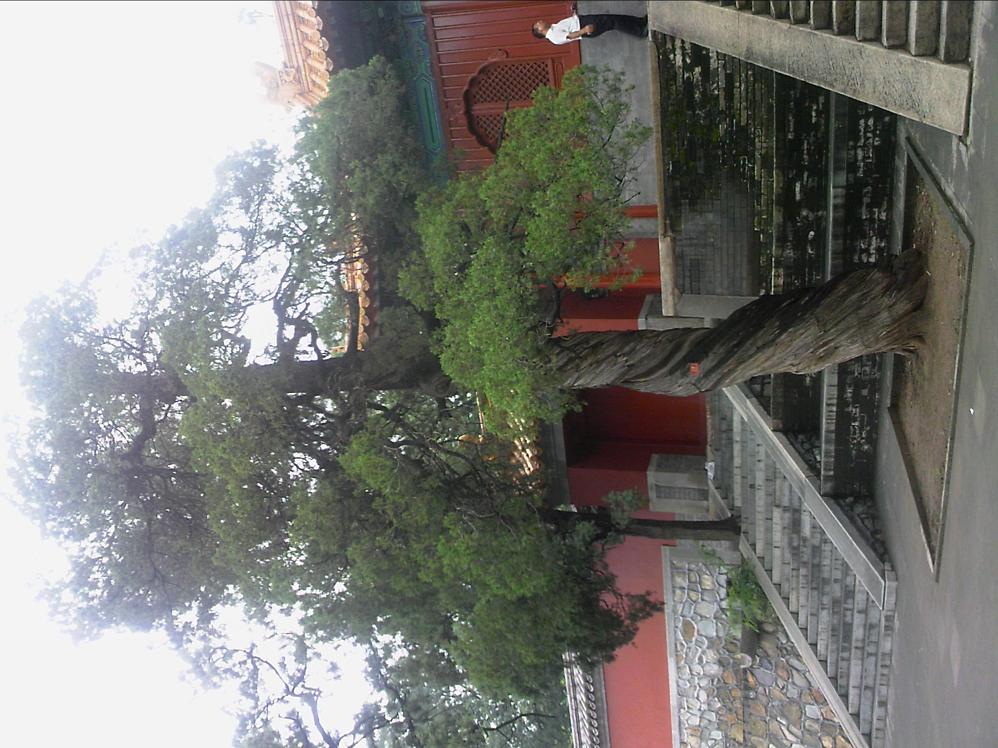 110815A108.jpg