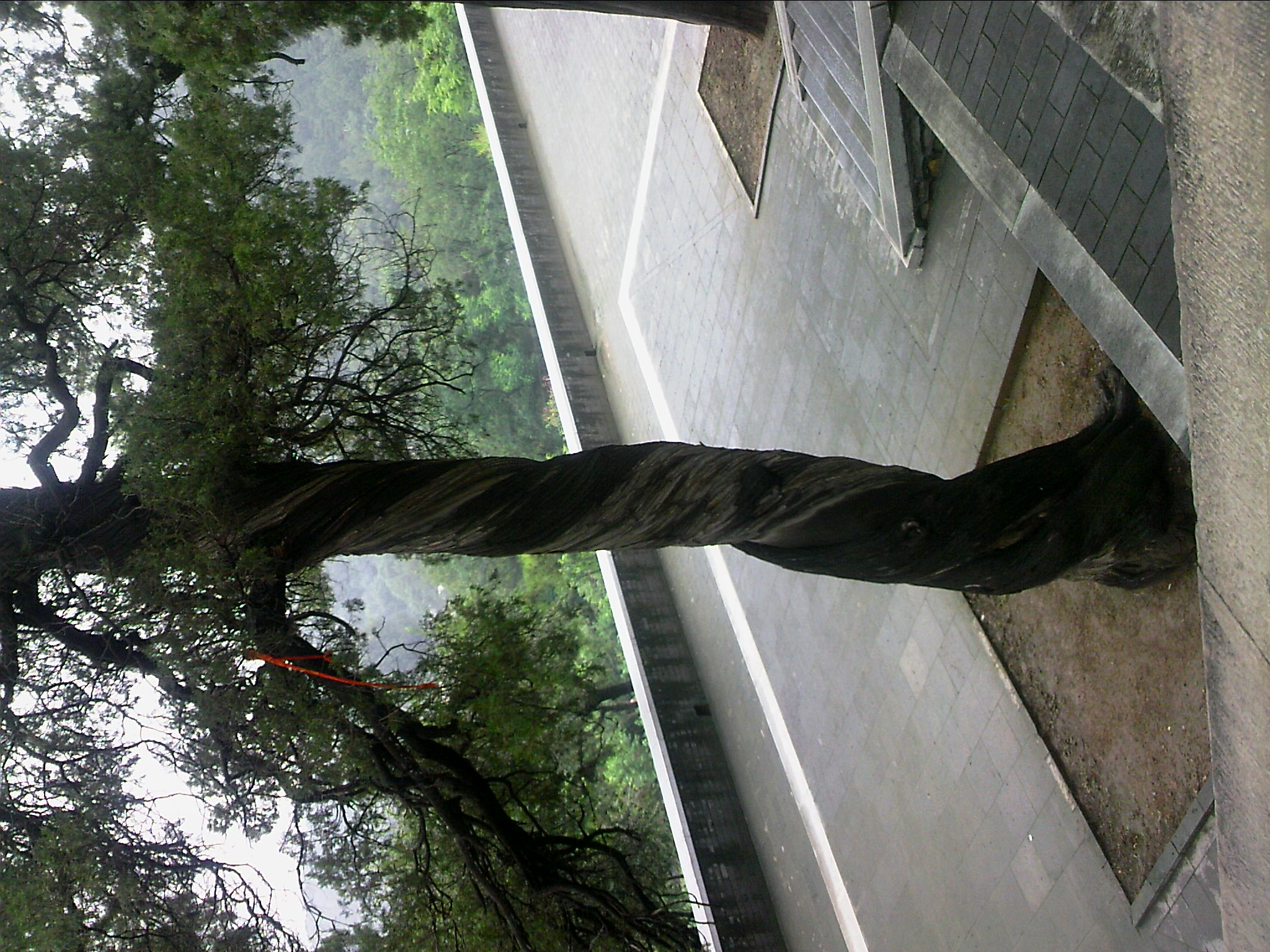 110815A110.jpg