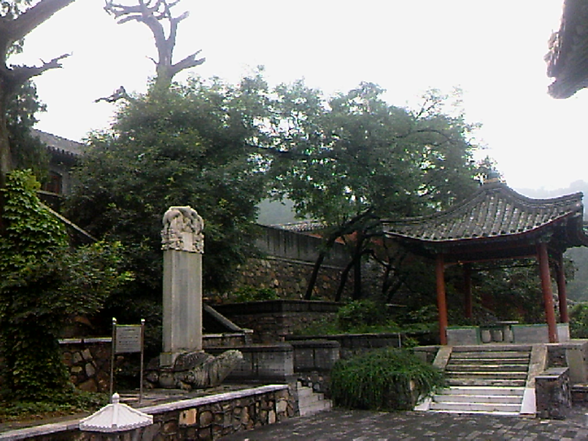 110815A111.jpg