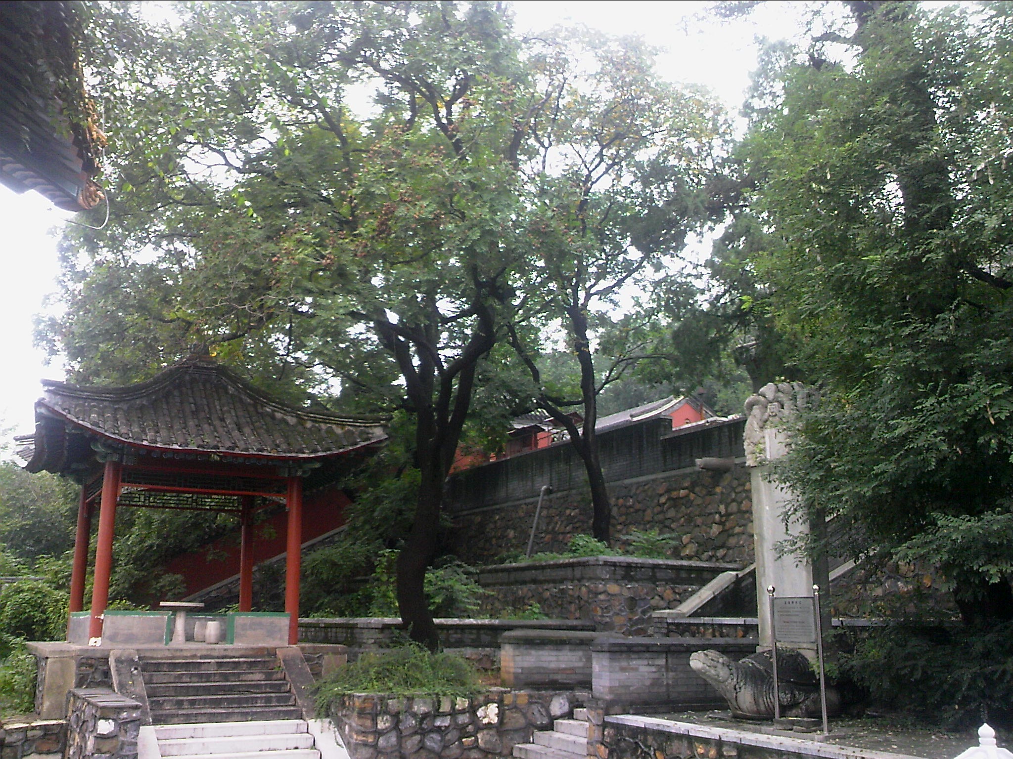 110815A112.jpg
