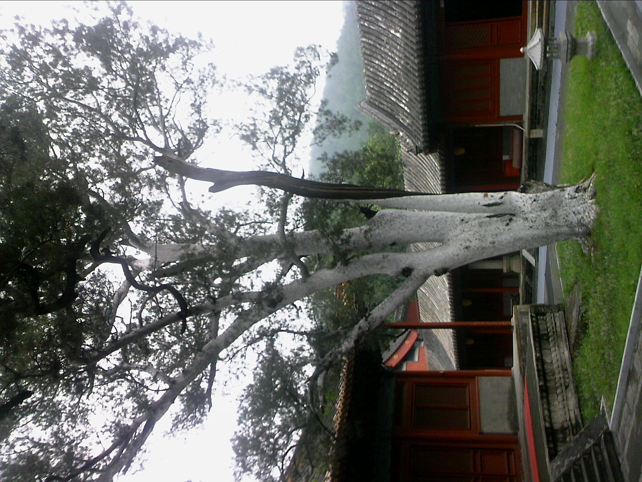 110815A114.jpg