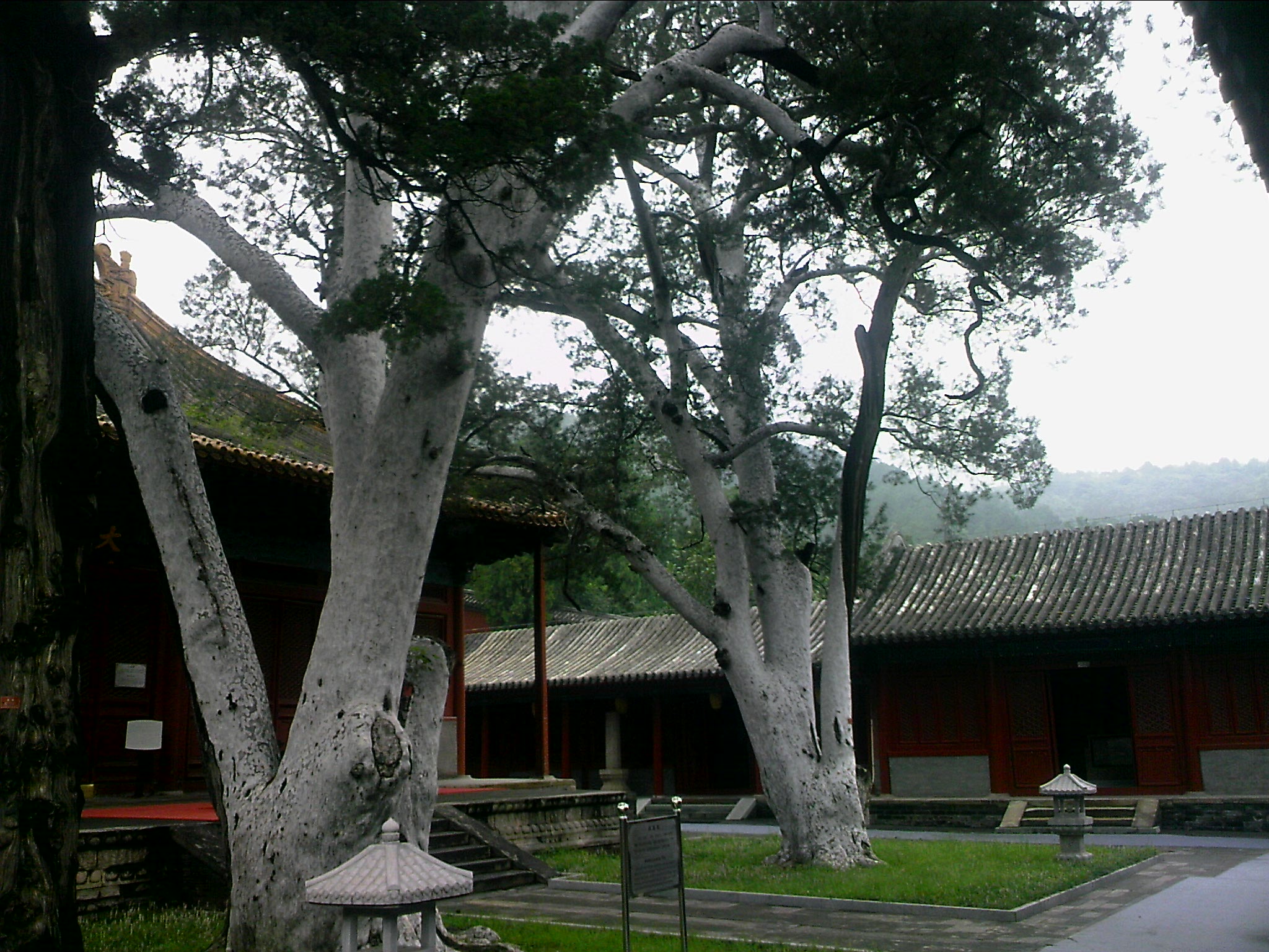 110815A116.jpg