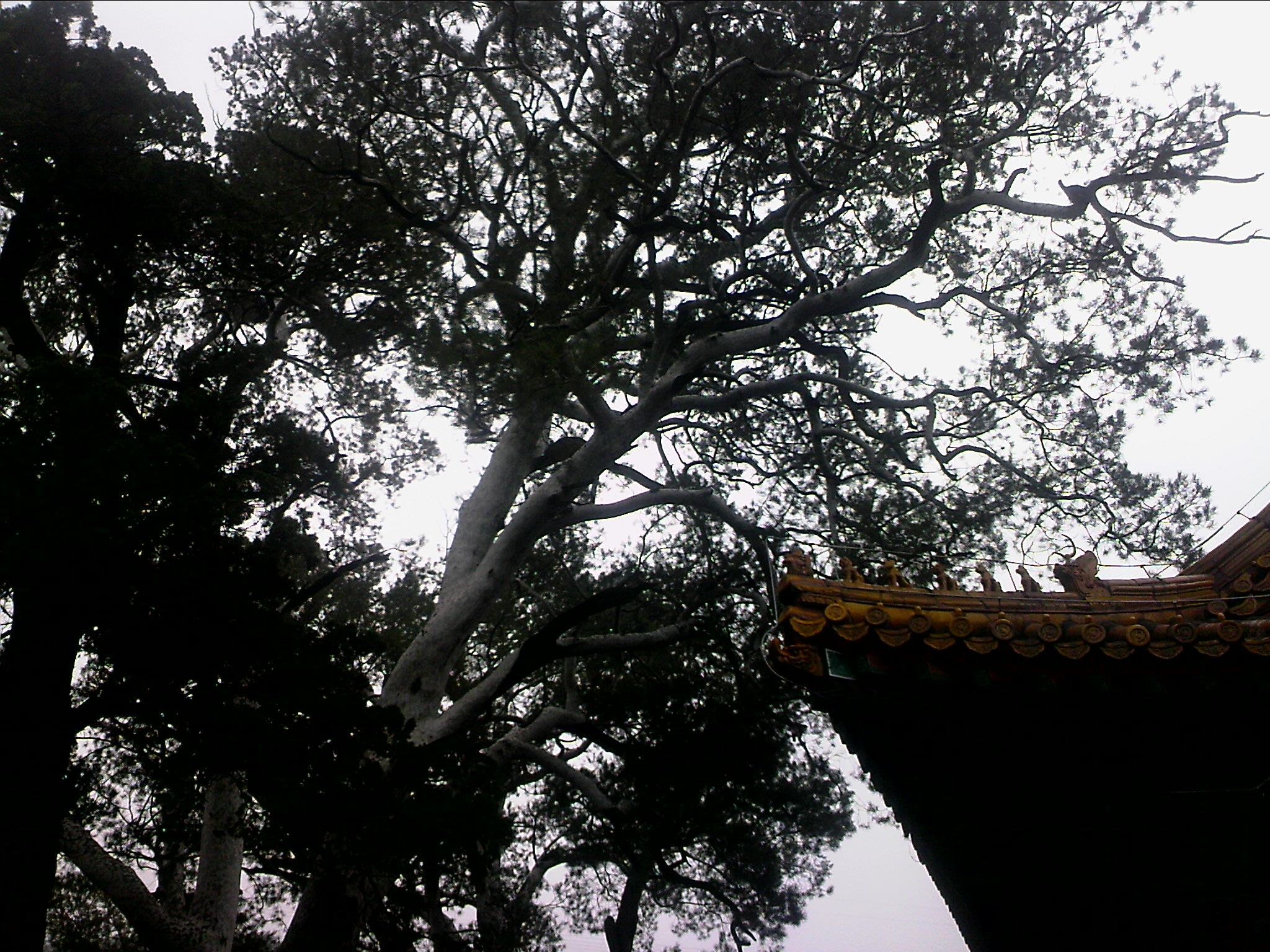 110815A117.jpg
