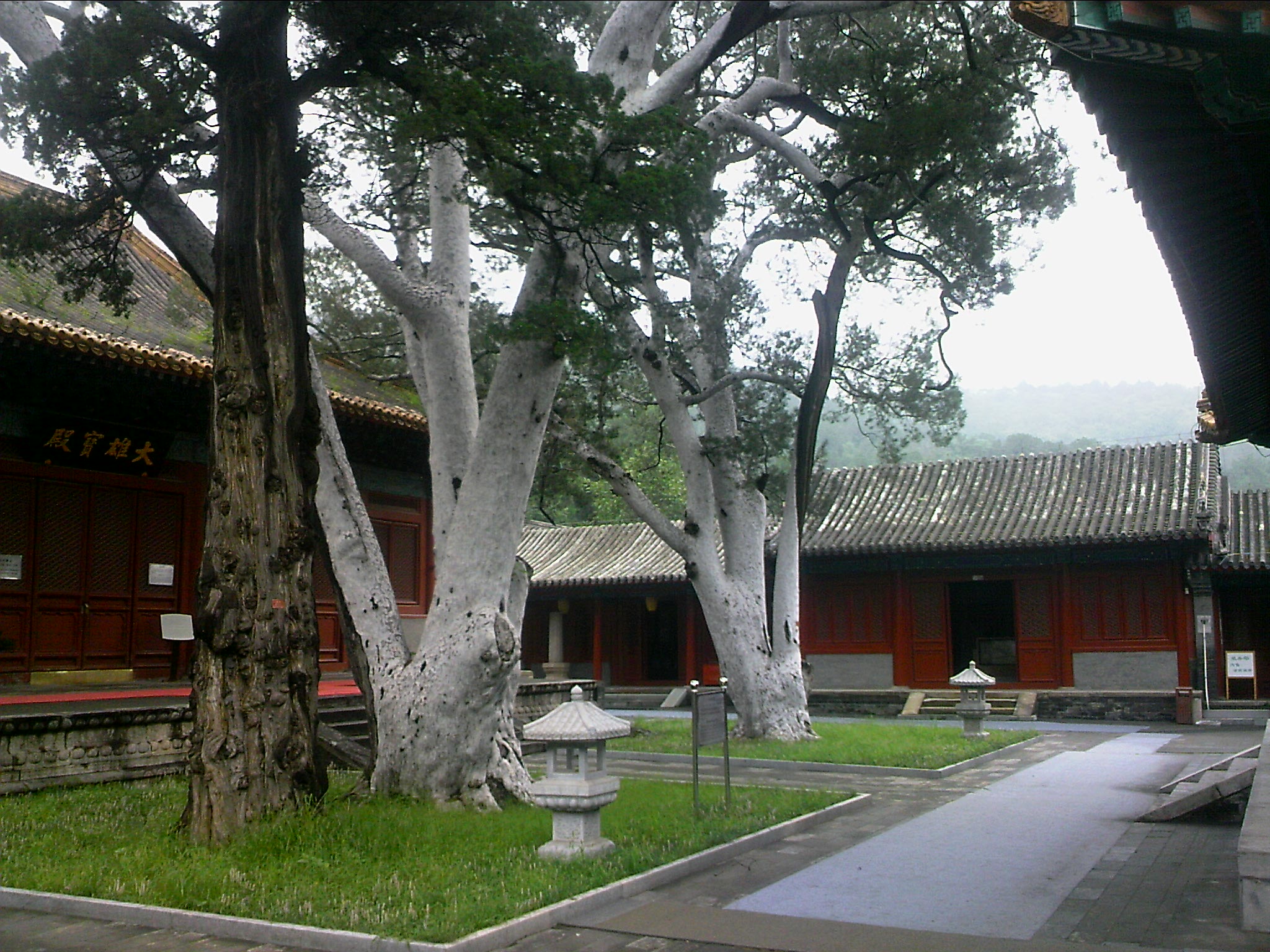 110815A118.jpg
