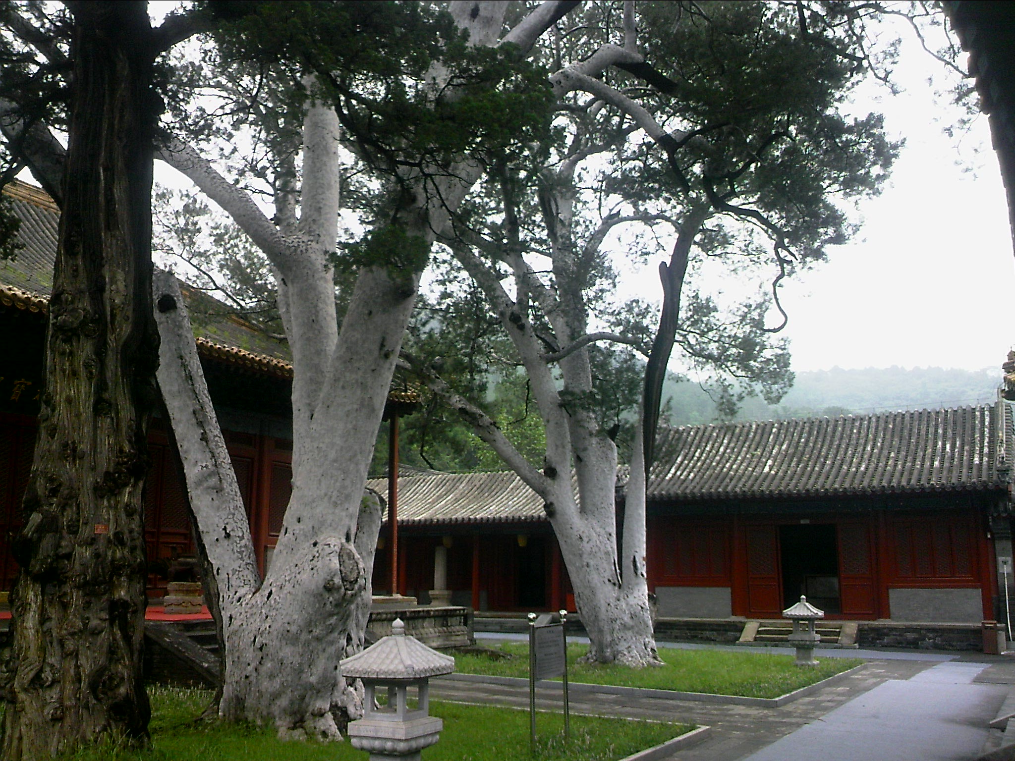 110815A119.jpg