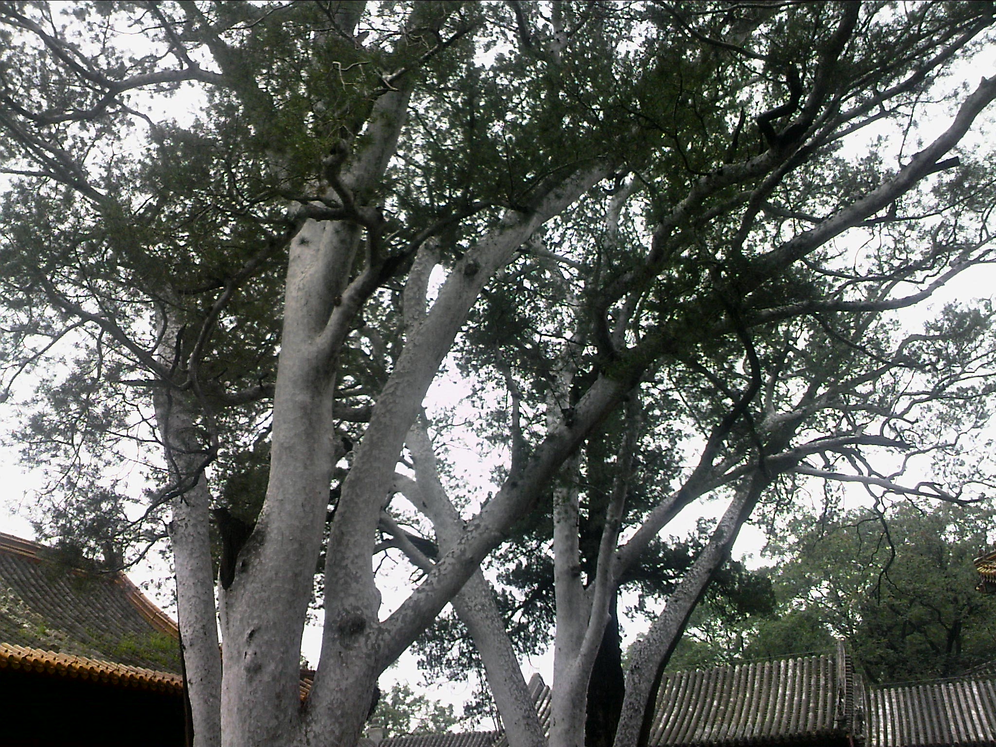 110815A121.jpg