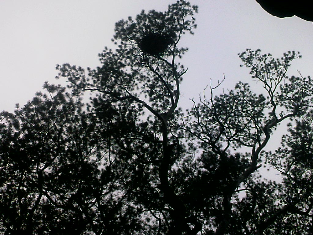 110815A122.jpg