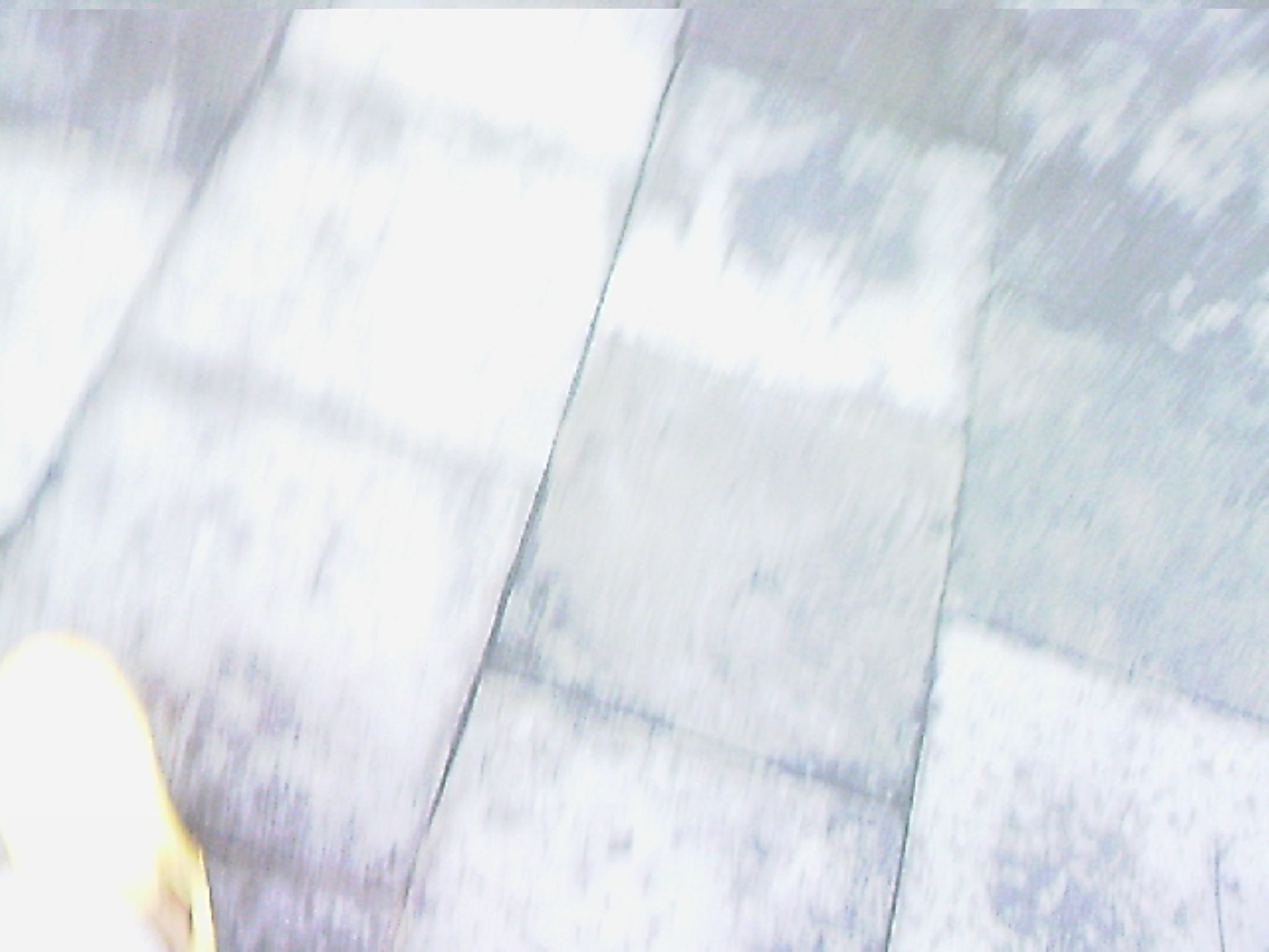 110815A137.jpg