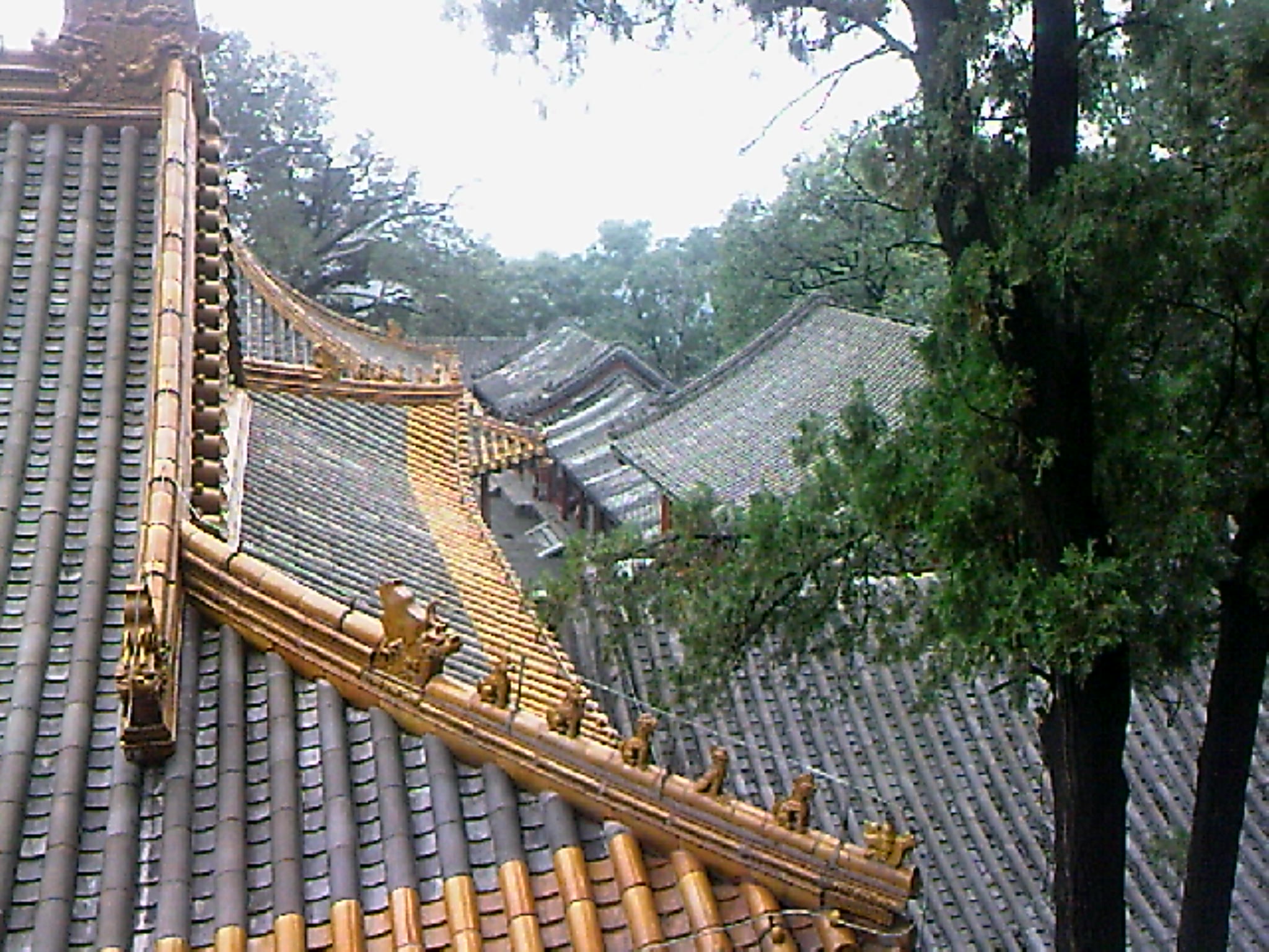 110815A138.jpg