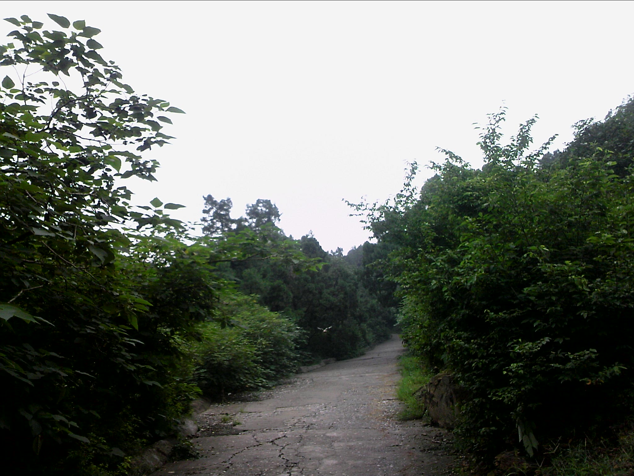 110815A149.jpg