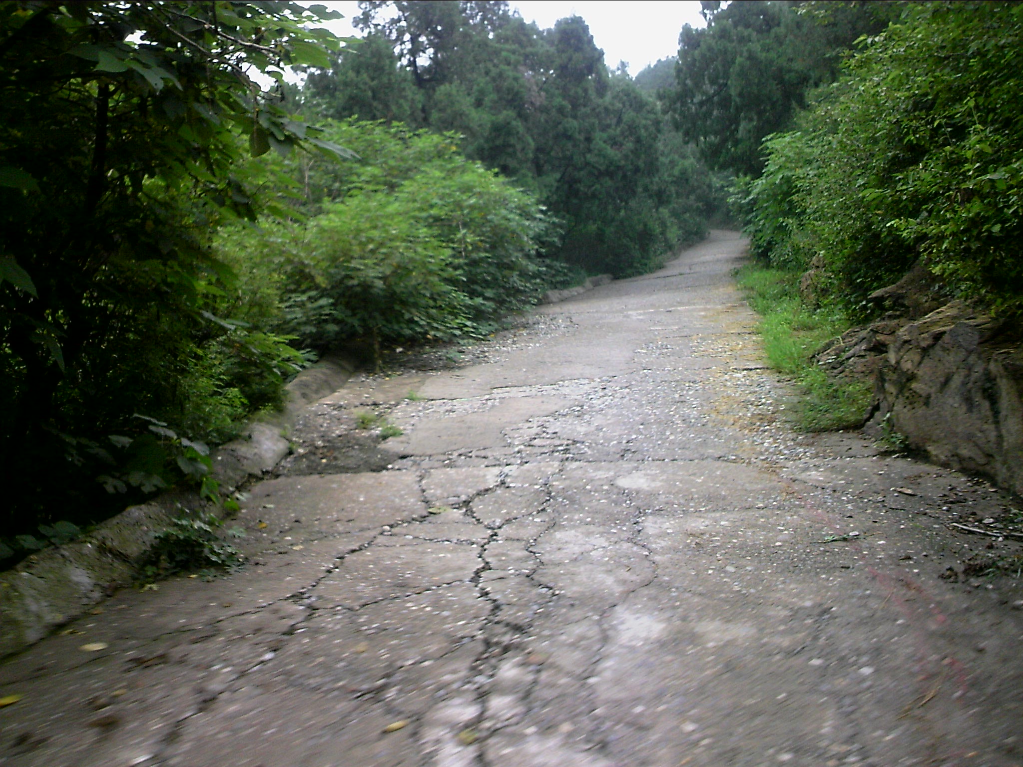 110815A150.jpg