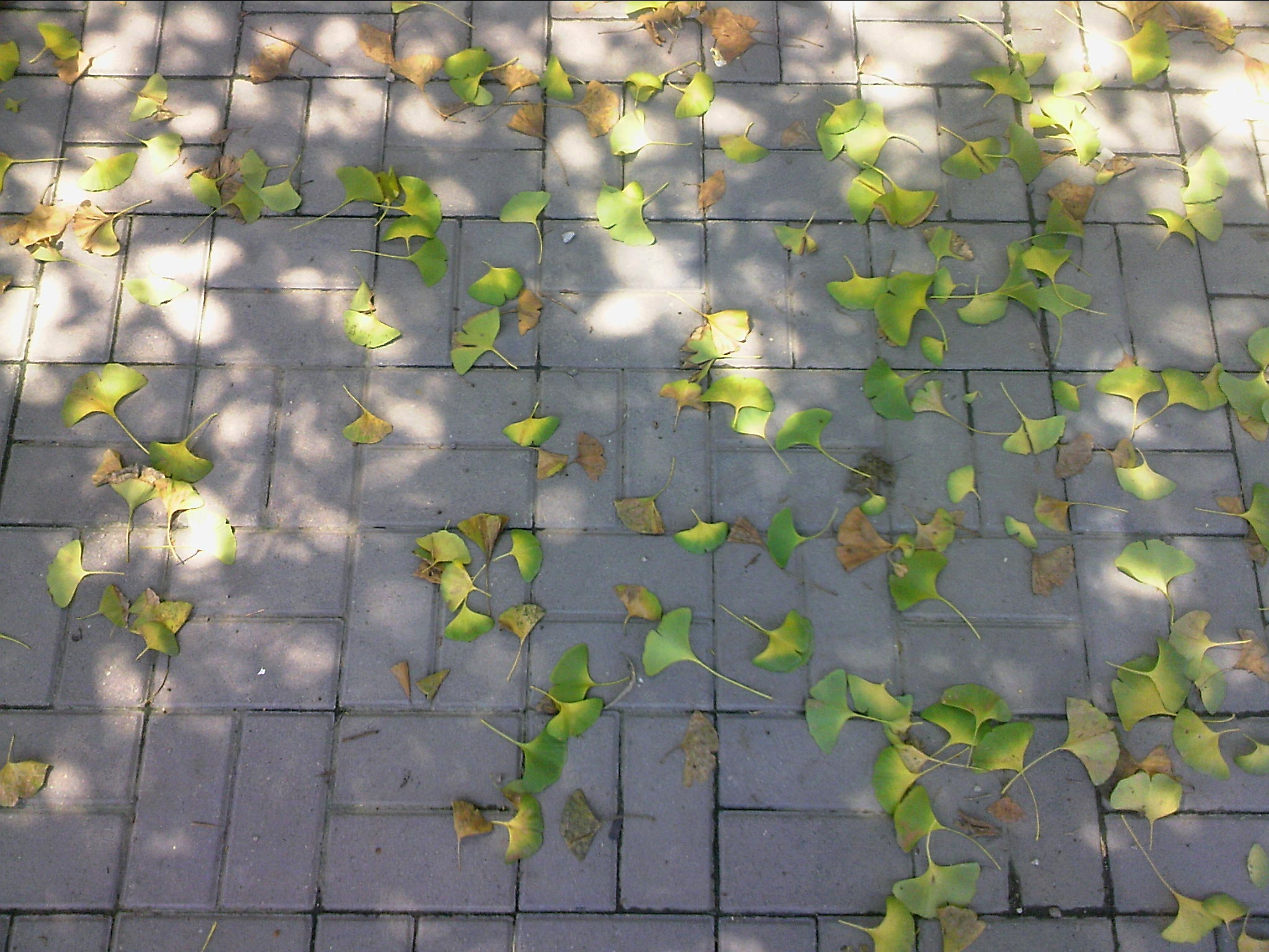 110816A000.jpg