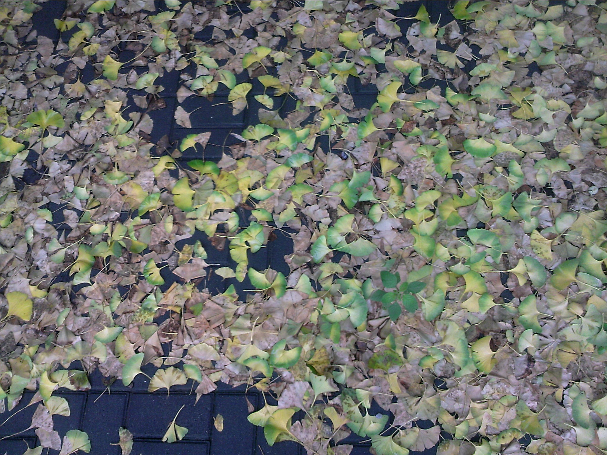 110826A000.jpg
