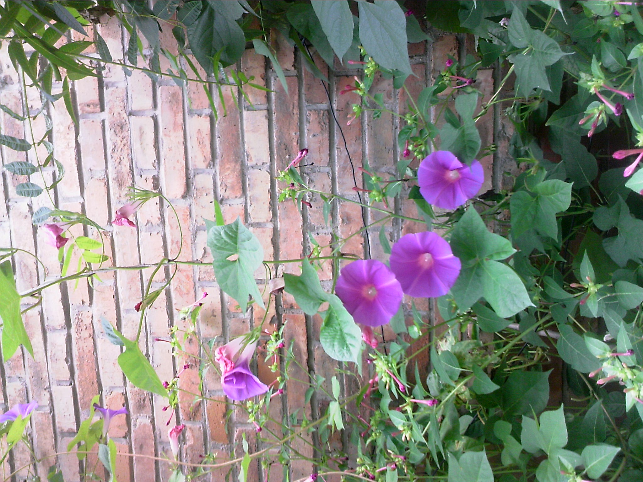 110827A002.jpg