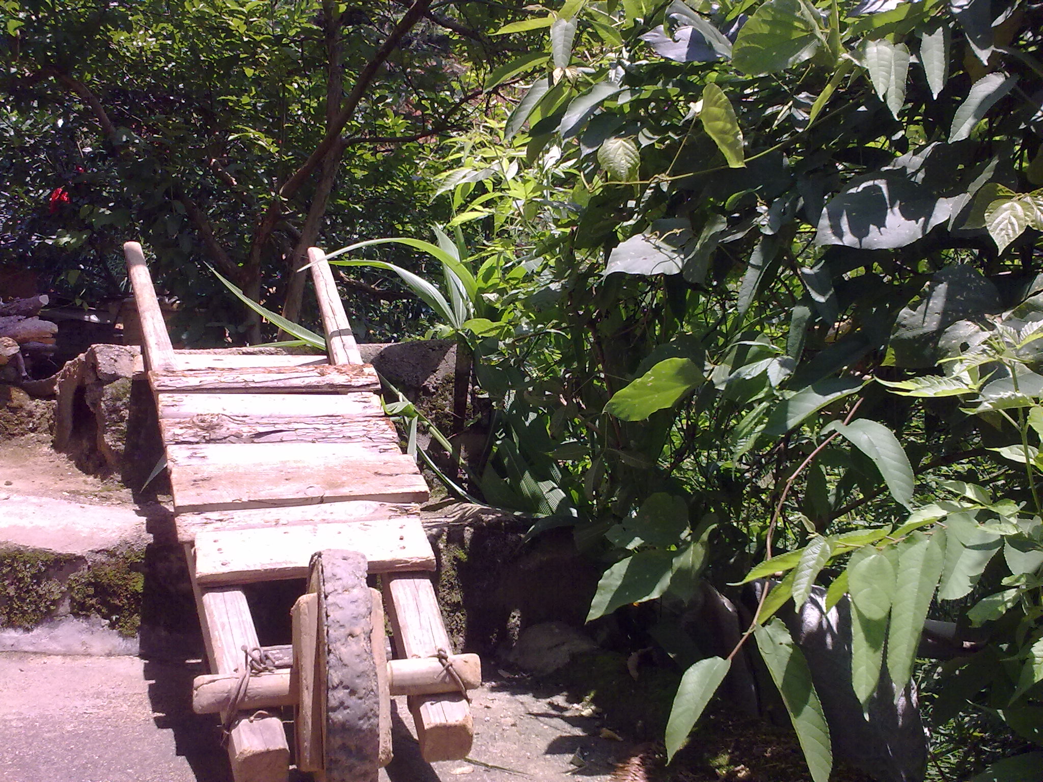 20110813071.jpg