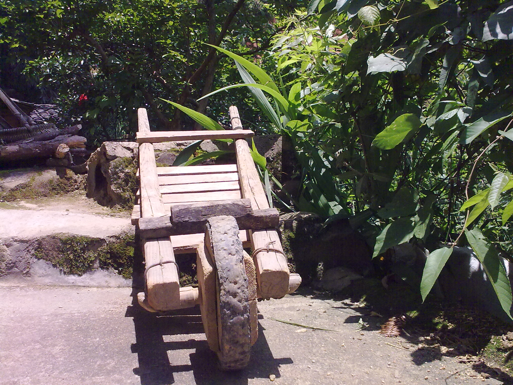 20110813069.jpg