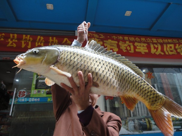 DSC02363.jpg