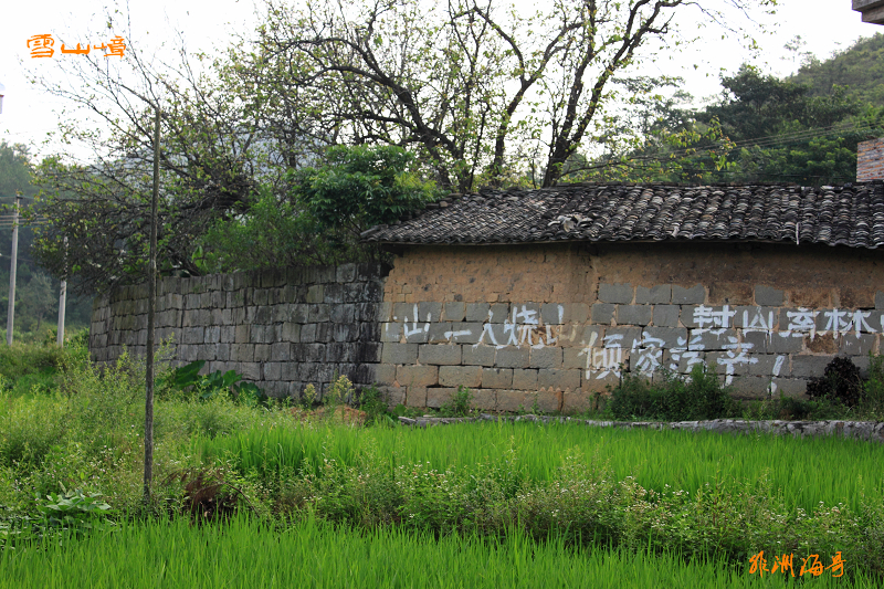 DPP_0006.jpg