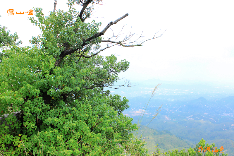 DPP_0067.jpg