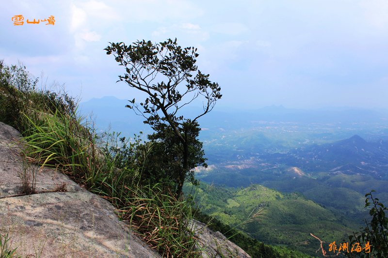 DPP_0071.jpg