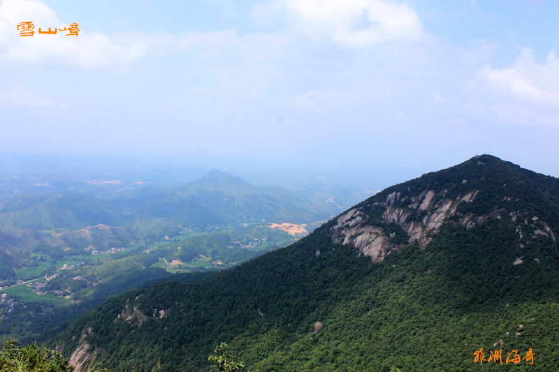 DPP_0091.jpg