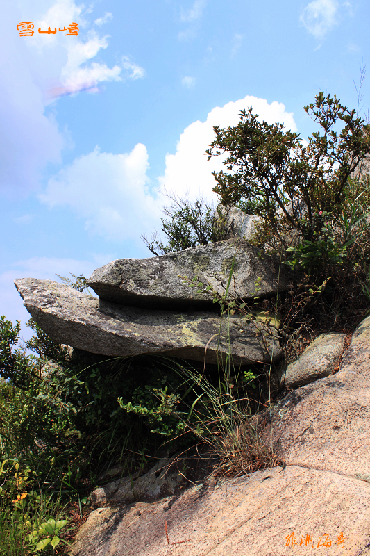 DPP_0112.jpg